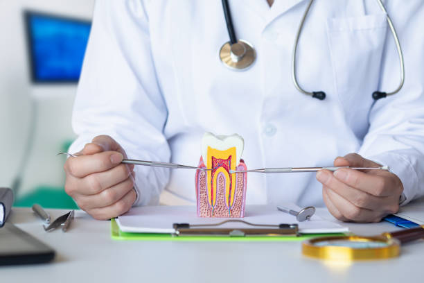 Best Emergency Tooth Extraction  in Oakland, TN